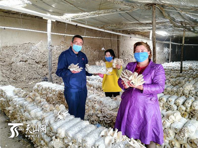 中石油新疆销售公司 精准扶贫瞄准“致富靶心” 家禽销售助力农户增收