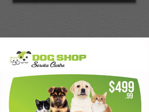 现代简约宠物店 创意海报素材与家禽销售服务融合新体验