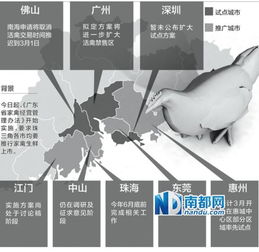 广东活禽市场临时性休市政策分析 地方政府决策与家禽销售应对